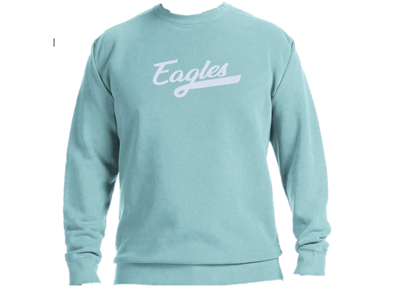 Comfort Colors Eagles Crewneck Sweatshirt Eagles Sweatshirt 