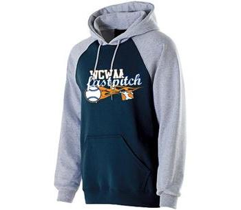 WCWAA Banner Hoodie